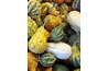 Different-shaped gourds make unique characters.