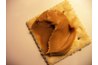 Put peanut butter over the gum to make it less sticky and easier to scrape off of a surface.
