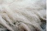 Layer the wool into one sheet.