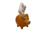 Member services are similiar to other financial institutions.