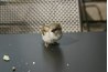 Breadcrumbs let your user know his location in the website.