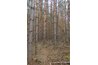 Conceptual construction estimates look at the forest, not the trees.