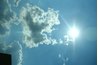 Ellagic acid may protect against UV rays.