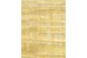 The Egyptians made paper from the papyrus plant.