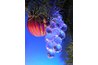 Alcohol ink can be used to paint glass ornaments.