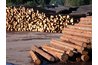 Sawmills in Washington produce hundreds of board feet of lumber.