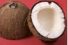 Coconuts are sometimes called the "tree of life" because every bit of the tree is used.