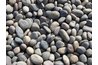 The rocks help with drainage.