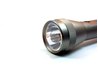 A flashlight helps you see the small, brown bugs.