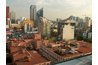 Unforunately for the axolotl, Mexico City was built on top of its natural habitat.