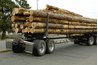 Logs are transported over land using specialized semi trailers.