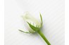 White rose buds honor the youth of the recipient.