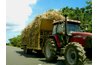 Verify that sugar cane imports do not exceed the limitations set by the USDA.