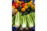 Composting is a beneficial cycle and can be a profitable business.