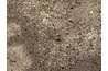 Apply grass seed with a seed broadcaster.