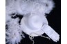A feathered boa will help draw attention to your creation.