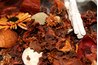 Mix all the spices together.