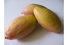 Nam Doc Mai mango with elongated shape.