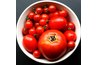 Tomatoes are very acidic.