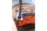Different types of fabrics are available.