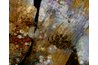 Mold, Filamentous Fungi