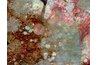 Mold