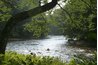 Using natural ingredients is safe for the environment.