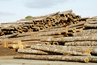 Partly processed lumber