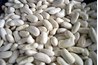 Beans are a common legume.