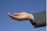 Succinctly state the reasons you are providing this specific reader with your business plan.