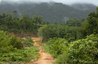 The high precipitation of tropical rain forests promotes heavy leaching of the soils.