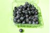 Blueberries are sold in food-grade plastic boxes.