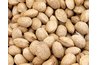 Almonds are a rich source of Vitamin E.