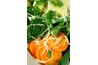 Eating more vegetables could help save your life.