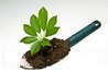 Watch seeds sprout from a rubber boot.