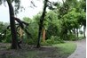 Tornadoes are both dangerous and damaging.