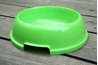 Plastic dog bowl.