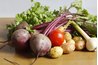 Plants store light energy as sugar in various forms.