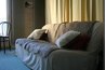 A curtain wall installed behind a couch.
