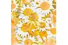Drawn daisies can have as much detail as you like.