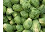 Coumestrols, found in brussel sprouts, mimic the biological activity of estrogen.
