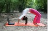 Online course certification can qualify yoga teachers for professional liability insurance.