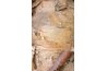 An eye-catching feature of the heritage river birch is its bark.