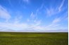 Permafrost underlies much of the world's arctic tundra ecosystems.