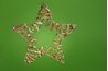 Gold Star