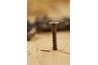 A wood screw in action.