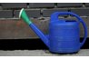 Fertilize monthly to maintain the acid pH.