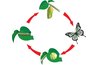 Understanding how a product creates costs at its manufacture, use and disposal can provide more information about environmental costs.