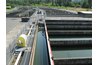 Many salmon begin their life in a fish hatchery.
