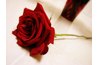 You're ready to make your business bloom